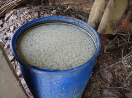 prepared microorganisms
